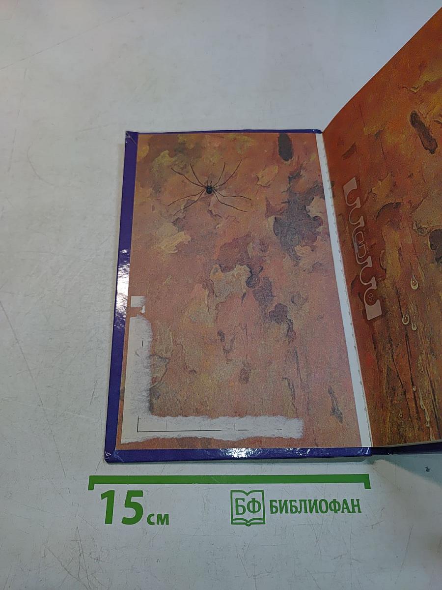 Дайте кошке слово
