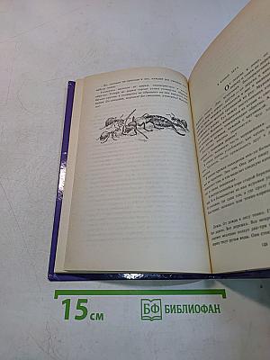 Дайте кошке слово