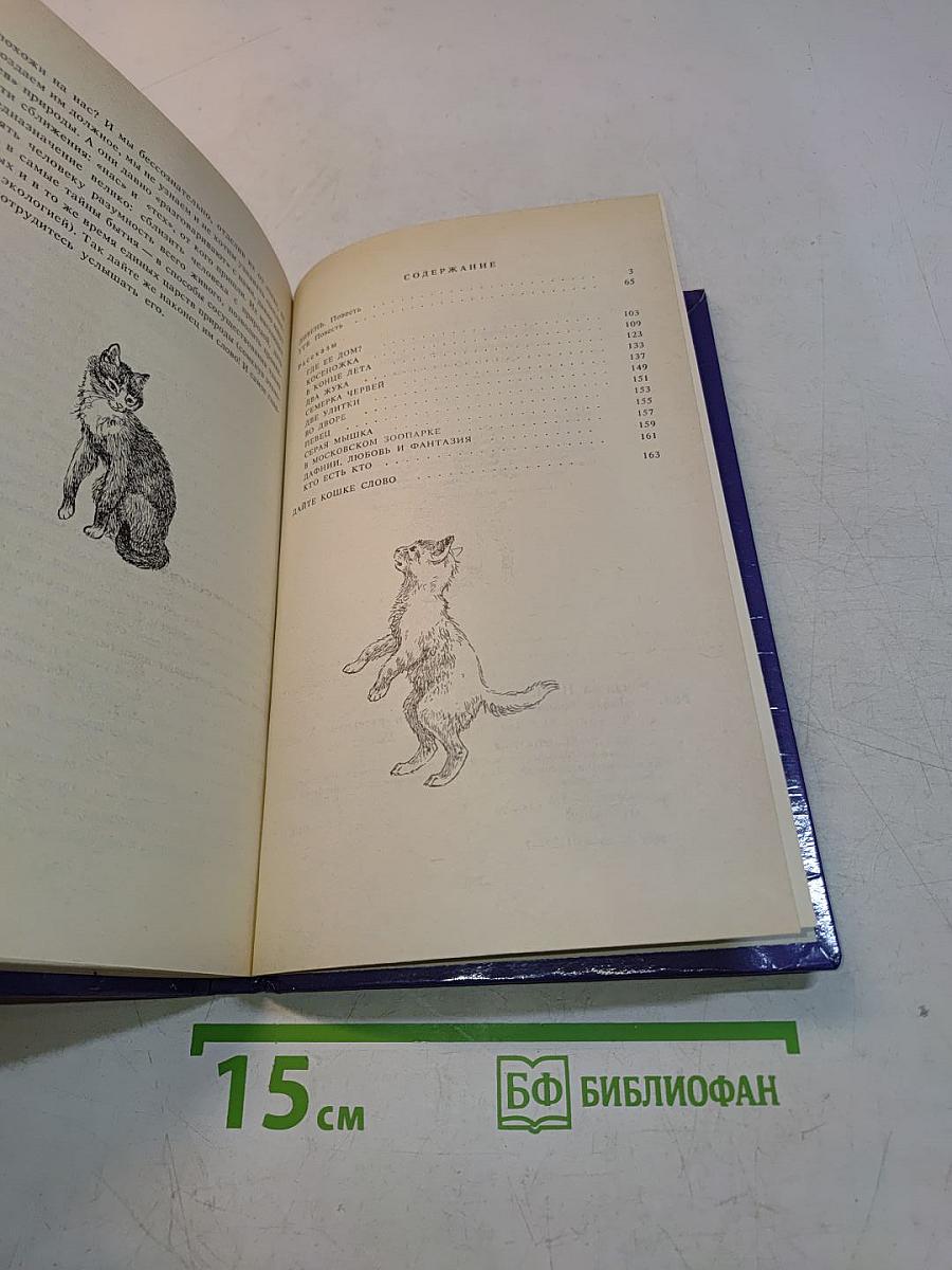 Дайте кошке слово
