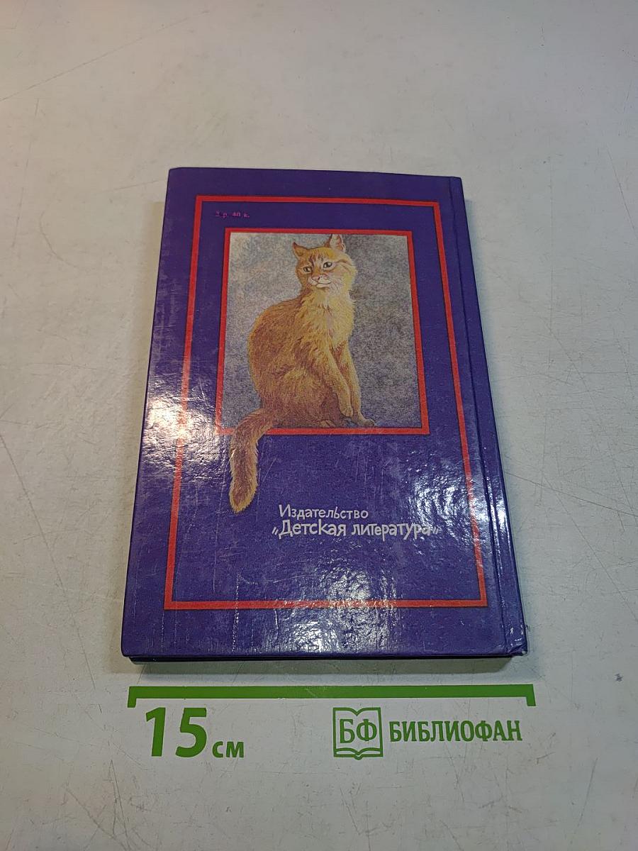 Дайте кошке слово