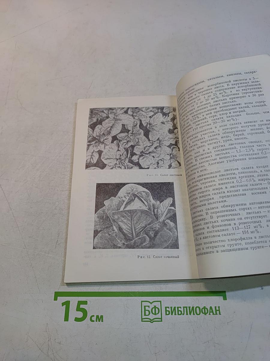 Овощи и их пищевая ценность