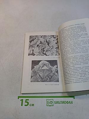 Овощи и их пищевая ценность