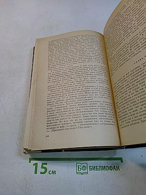 Поезд проходит мимо