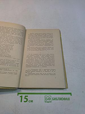 Живой как жизнь. Разговор о русском языке