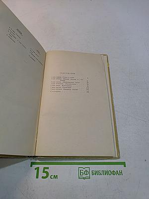 Живой как жизнь. Разговор о русском языке