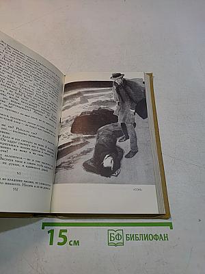 Собрание сочинений и писем. Том 5