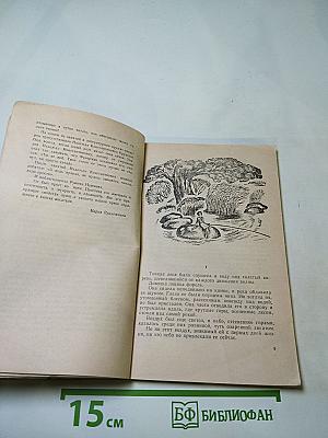 Дикая собака Динго, или Повесть о первой любви