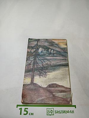 Дикая собака Динго, или Повесть о первой любви