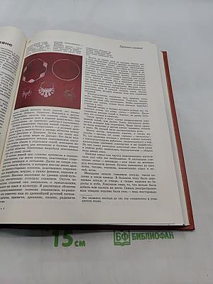 Детская энциклопедия. Том 8. Из истории человеческого общества