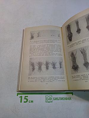 Целебные яды растений