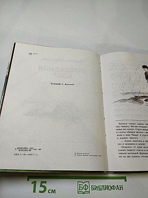 Последний бобр