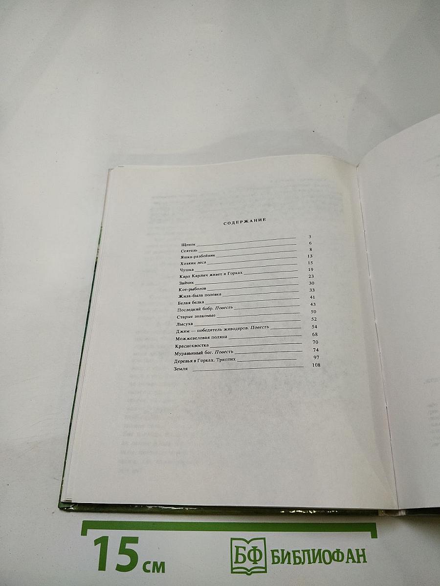 Последний бобр