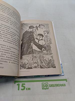 Чародей из Гнэльфбурга