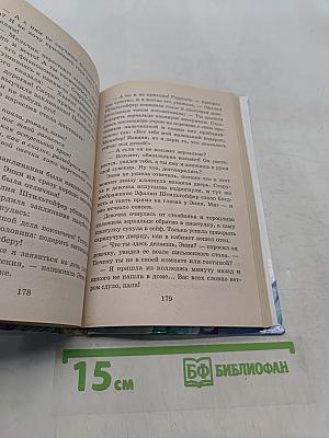Чародей из Гнэльфбурга