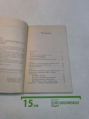 Золотой ус в лечении болезней желудочно-кишечного тракта