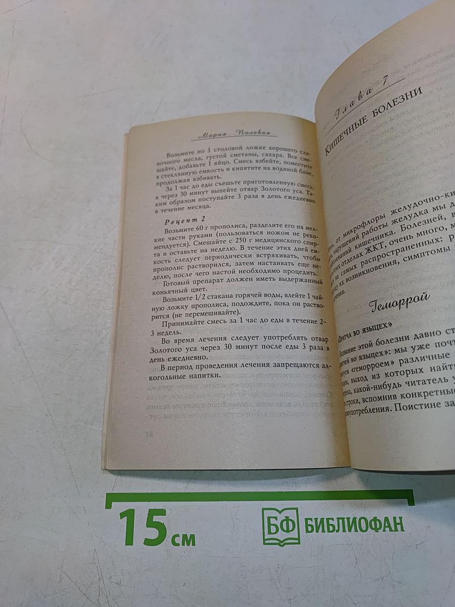 Золотой ус в лечении болезней желудочно-кишечного тракта