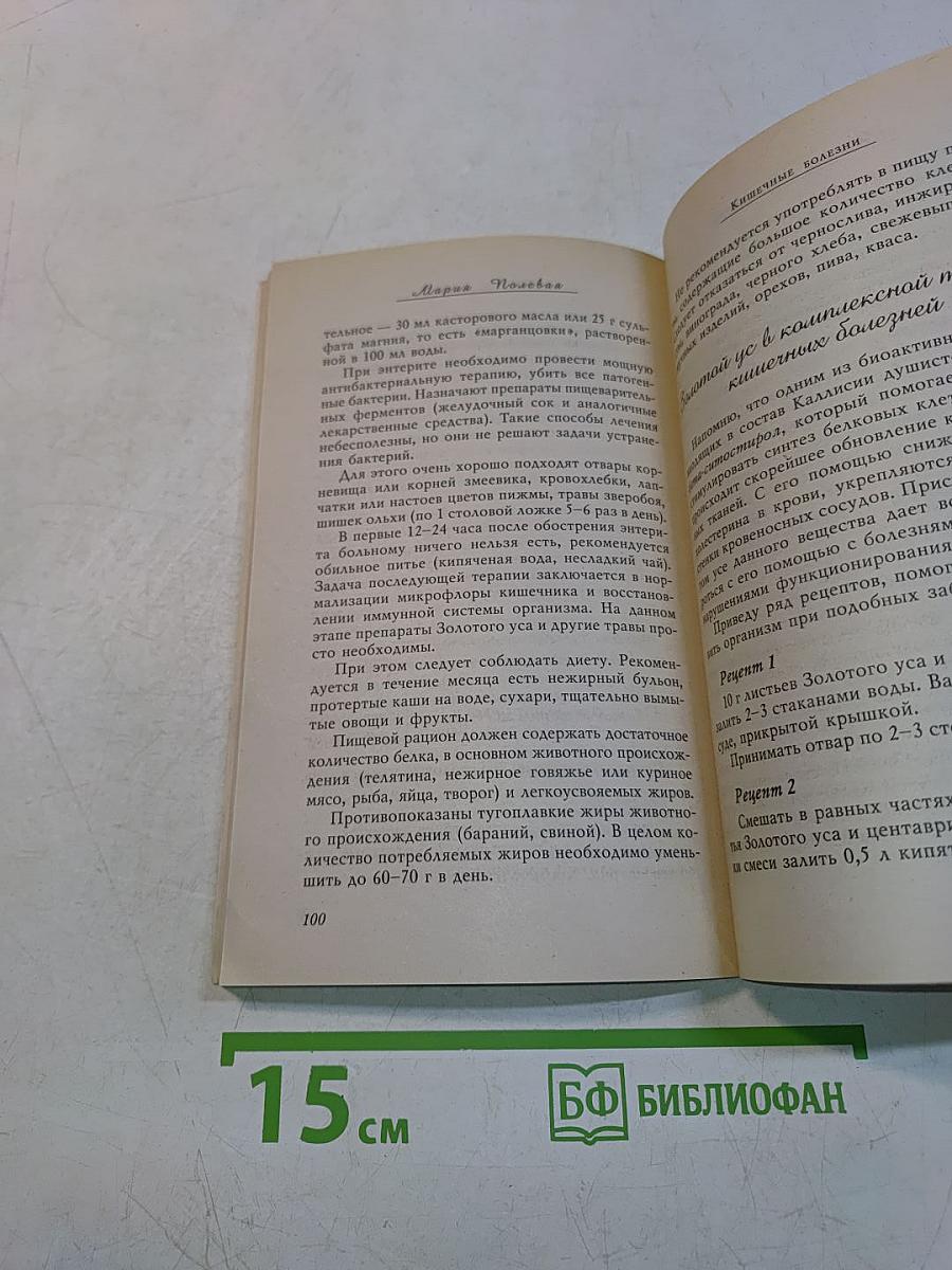 Золотой ус в лечении болезней желудочно-кишечного тракта