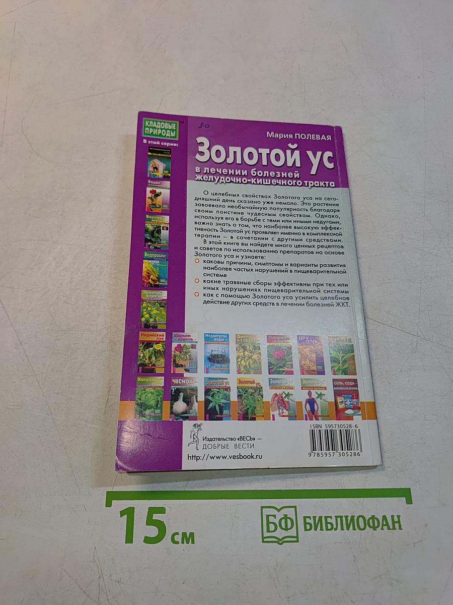 Золотой ус в лечении болезней желудочно-кишечного тракта