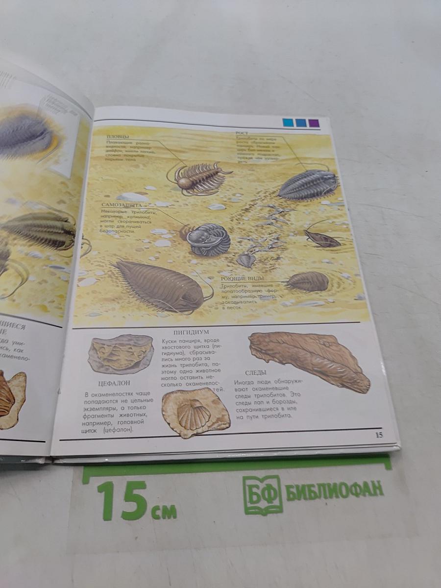 Доисторическая жизнь