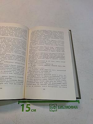 Собрание сочинений. Том первый. Разгром. Повести и рассказы