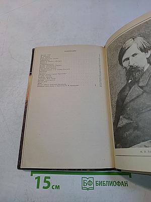 Виктор Васнецов