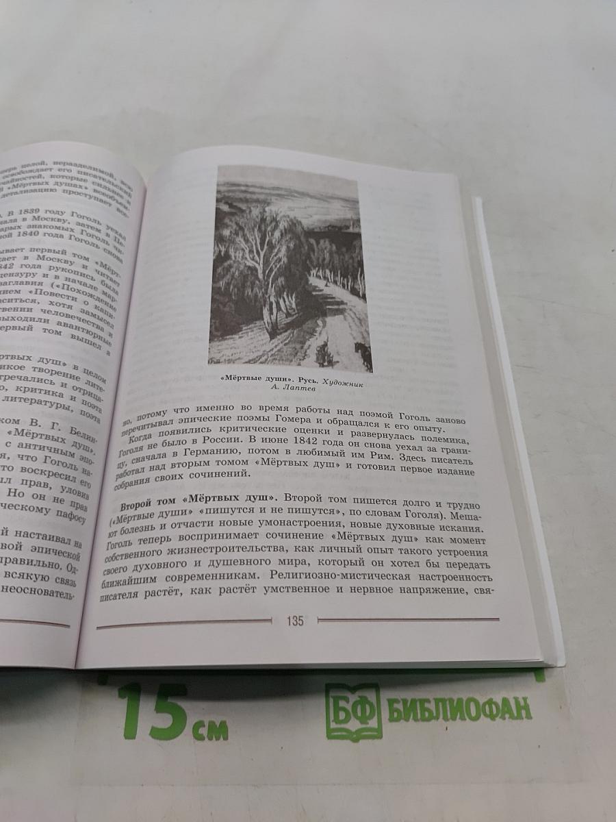Литература. 9 класс. Часть 2. Учебник