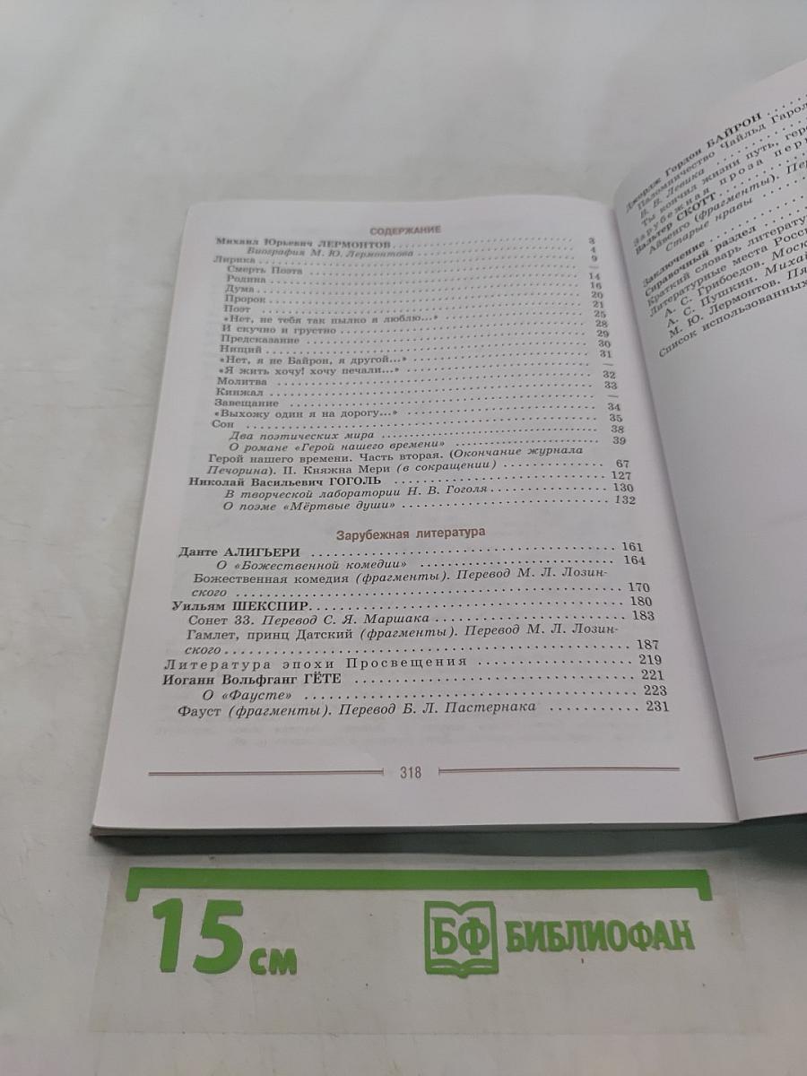 Литература. 9 класс. Часть 2. Учебник