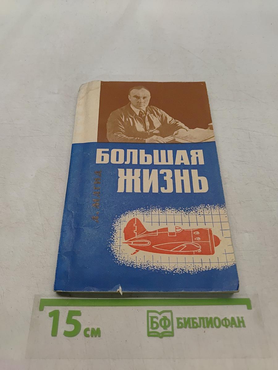 Большая жизнь
