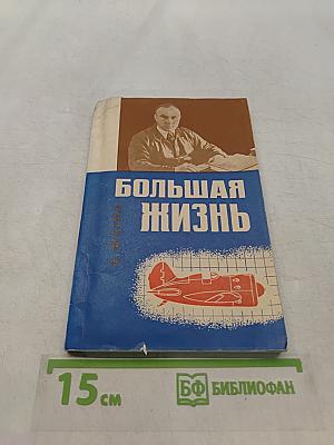 Большая жизнь
