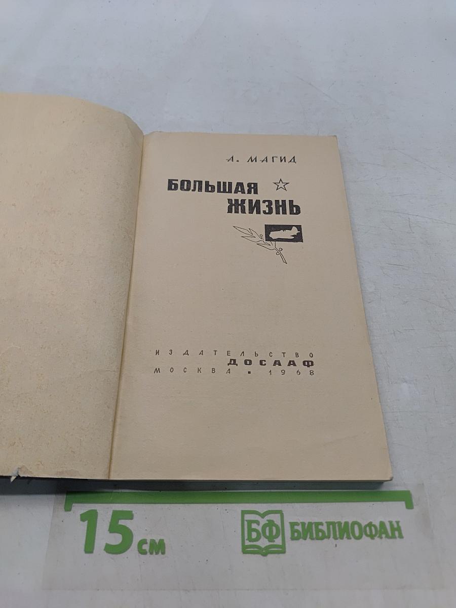 Большая жизнь