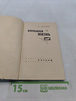 Большая жизнь