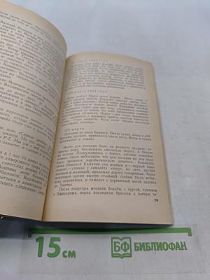 Большая жизнь