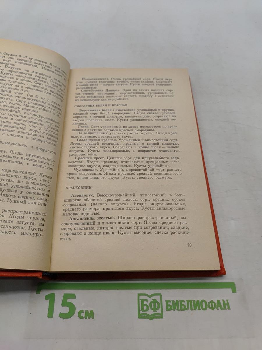 Практические советы по садоводству