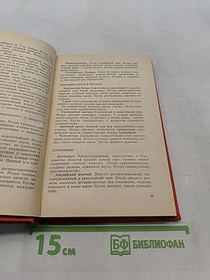 Практические советы по садоводству