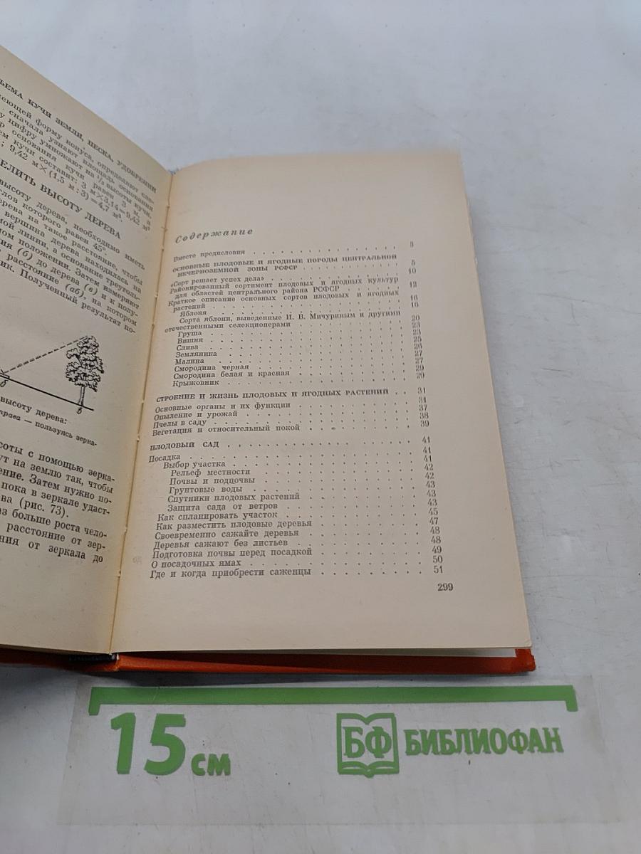 Практические советы по садоводству