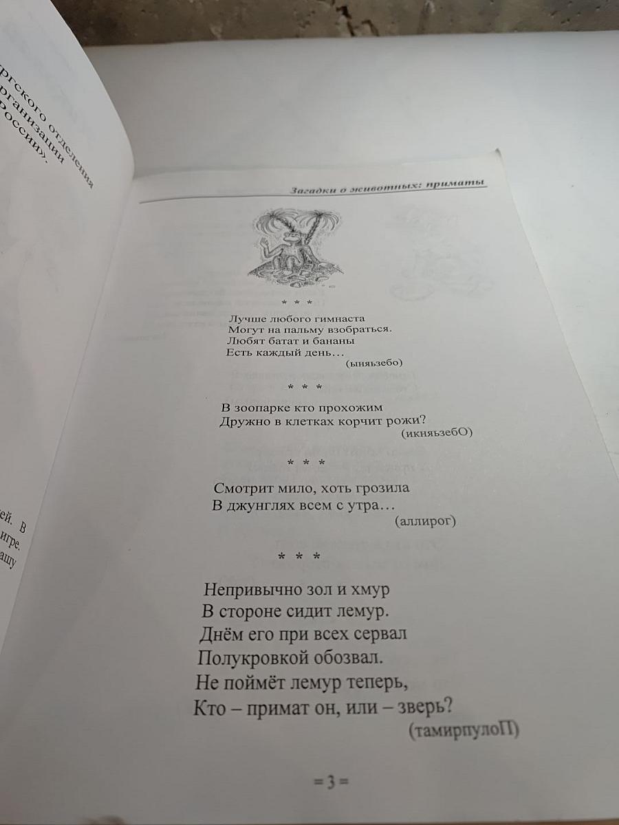 Большая книга загадок