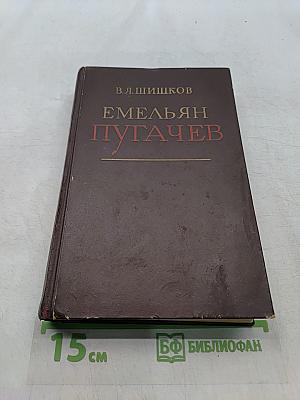 Емельян Пугачев. Историческое повествование. Книга третья