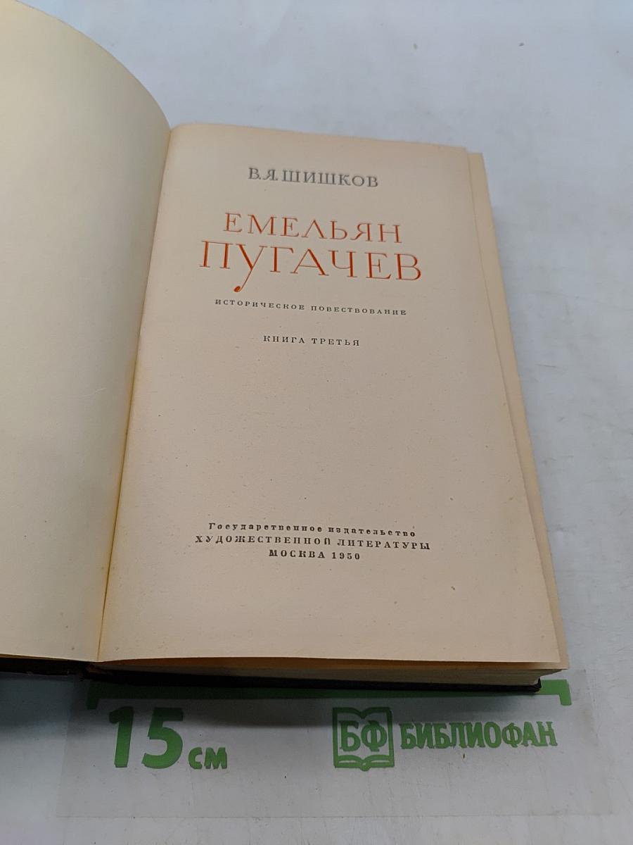 Емельян Пугачев. Историческое повествование. Книга третья