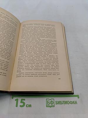 Емельян Пугачев. Историческое повествование. Книга третья