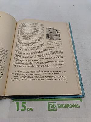 Роза ветров