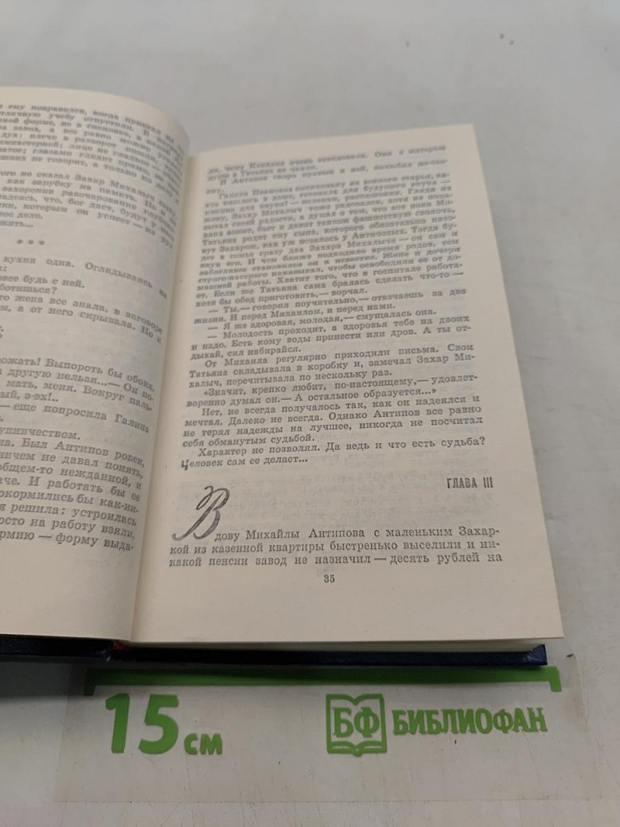 Вечные хлопоты. Книга первая