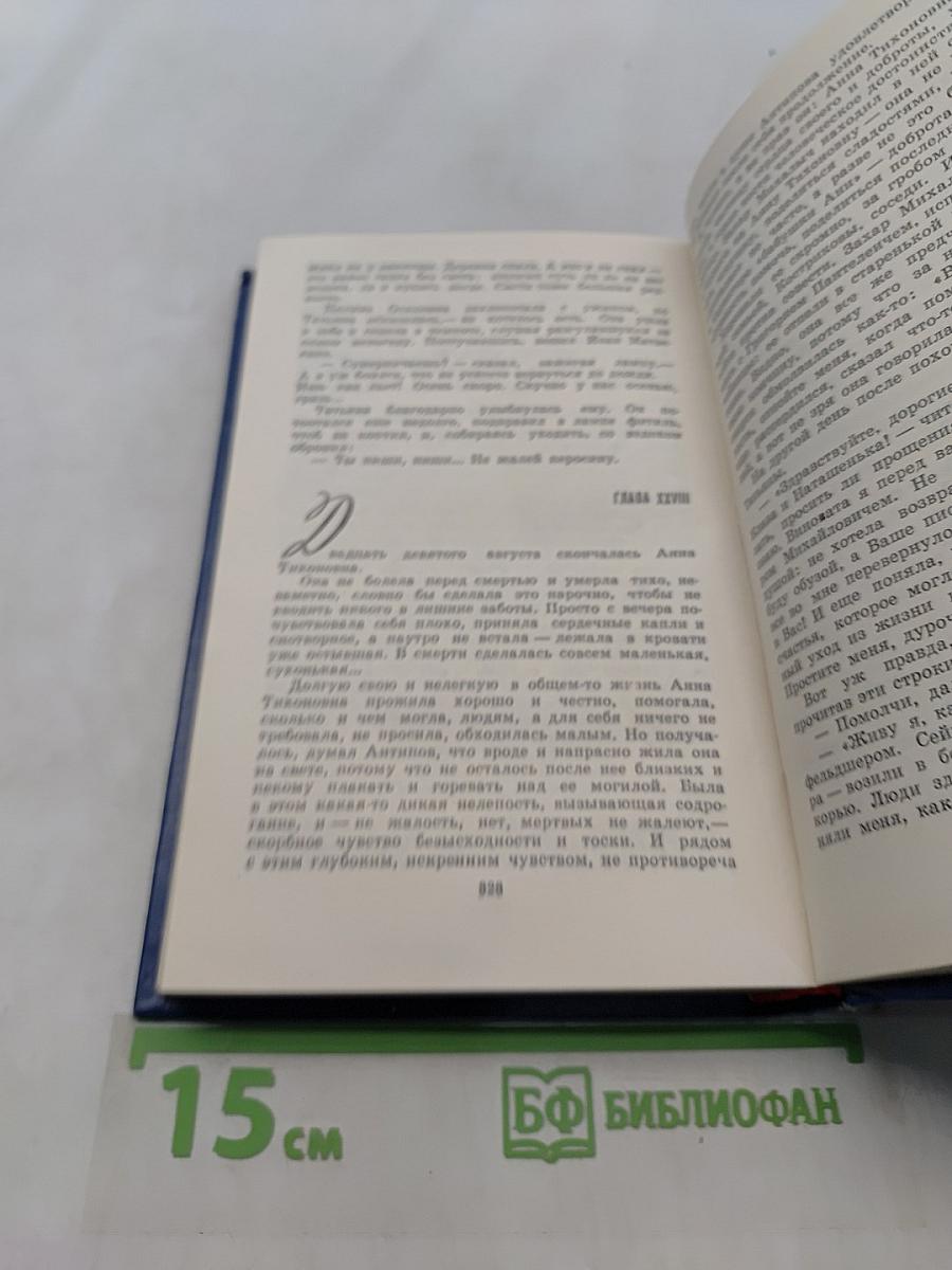 Вечные хлопоты. Книга первая
