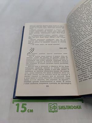Вечные хлопоты. Книга первая