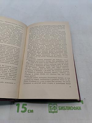 Скворечник, в котором не жили скворцы