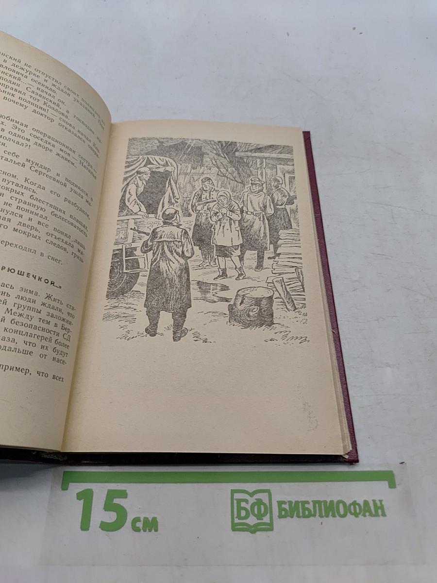 Скворечник, в котором не жили скворцы