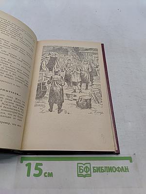 Скворечник, в котором не жили скворцы