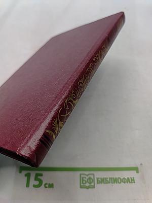 Скворечник, в котором не жили скворцы
