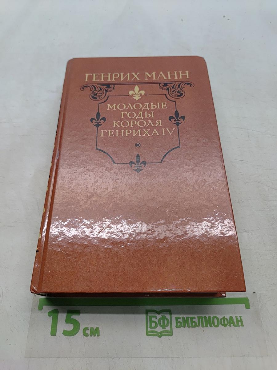 Молодые годы короля Генриха IV