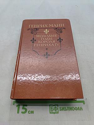 Молодые годы короля Генриха IV
