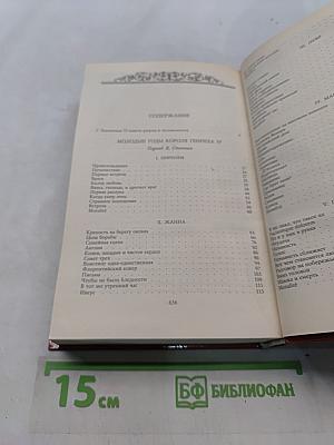 Молодые годы короля Генриха IV